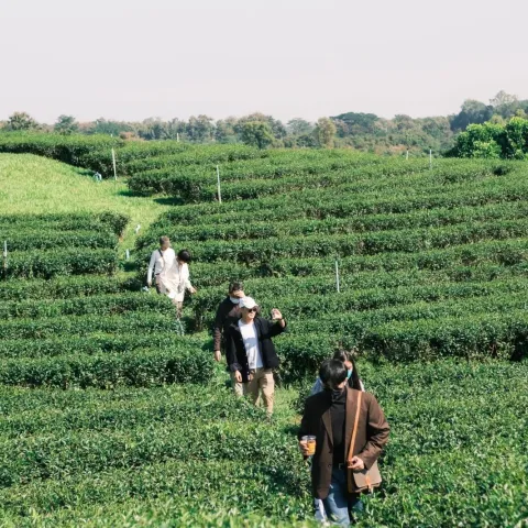 Outing — ทริปประจำปีชาร์จพลังนอกออฟฟิศ — photo 5